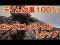 ロックエレメンタル神トラップで100%テイム