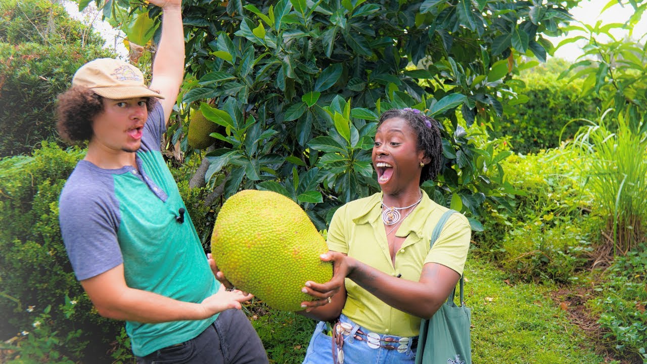 He's Only 29 and Growing 100+ Fruit Trees in Florida