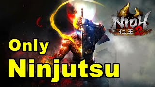 Can You Beat Nioh 2 with Only Ninjutsu?