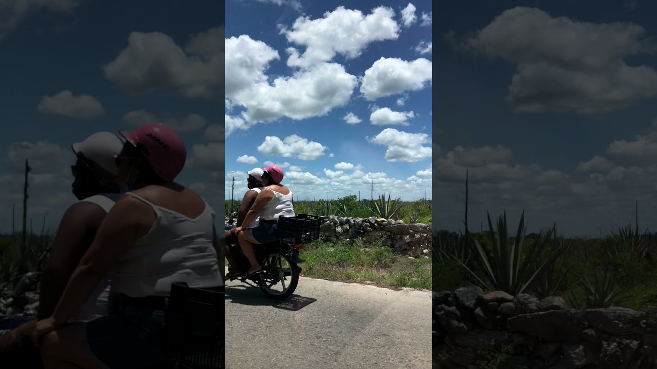 Carretera Telchac Pueblo - Telchac Puerto Henequenes