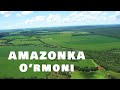 Amazonka O'rmoni / Амазонка Урмони