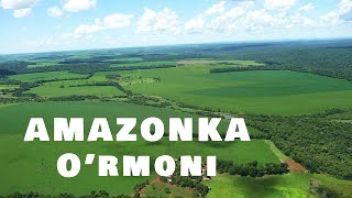 Amazonka O'rmoni / Амазонка Урмони Resimi