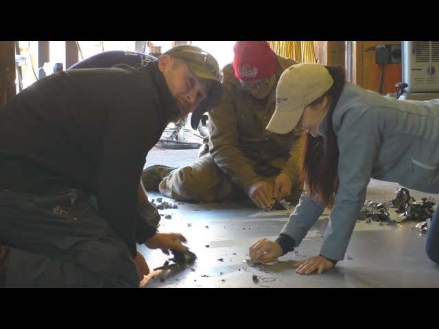 Diesel Jet Boat Build – Part 3 – Lofting and Cutting