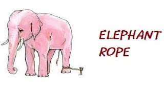 Full Inspirational Story About Belief| Elephant Rope Update
