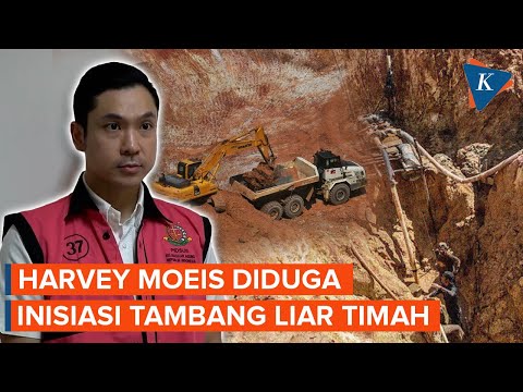 Harvey Moeis Diduga Inisiasi Penambangan Timah Liar di Bangka Belitung