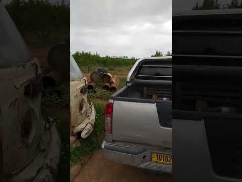 حاسي فدول مع احلى الشباب