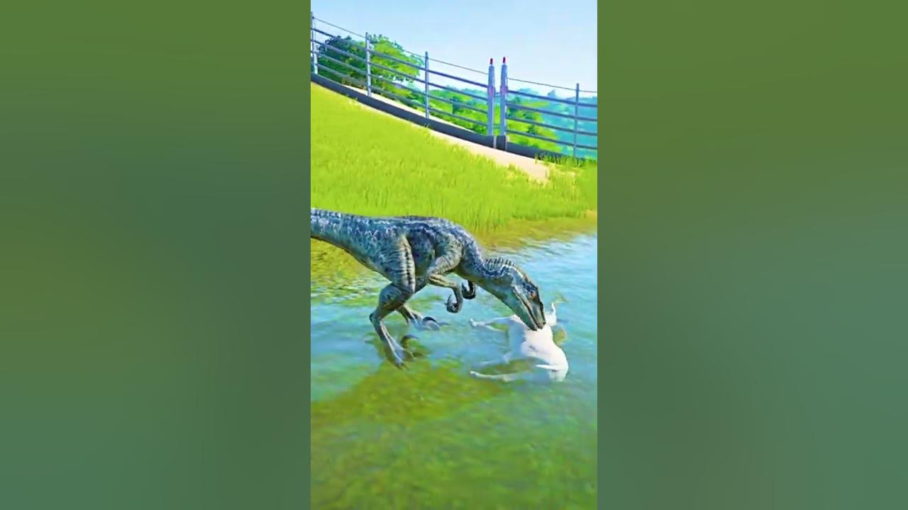 VELOCIRAPTOR BLUE Hunts and Eats Goat. 💯 velociraptor 