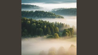 Gentle Silence Waiting