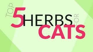 Celebrity Top 5 Herbs for Cats Profile