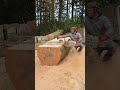 Alaskan Chainsaw Mill Ms880 Woodworking Outdoors Chainsaw Shorts 