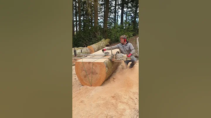 Alaskan chainsaw Mill - Ms880 #woodworking #outdoors #chainsaw #shorts