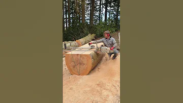 Alaskan Chainsaw Mill Ms880 Woodworking Outdoors Chainsaw Shorts 