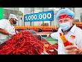 How CHILI SAUCE is Made!!! One Million Bottles a Week!!