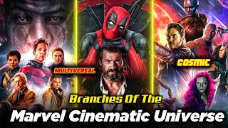 Har Movie Avengers Level ki Hogi! 😳 Branches Of MCU // DK DYNAMIC