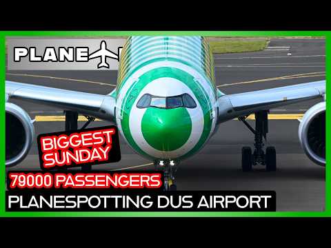 🔴✈️ SUPER SUNDAY - 79000 Passengers - Planespotting - DUS Airport