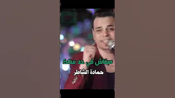 مبقاش في حد سالك حمادة الشاطر اجمل الاغاني 