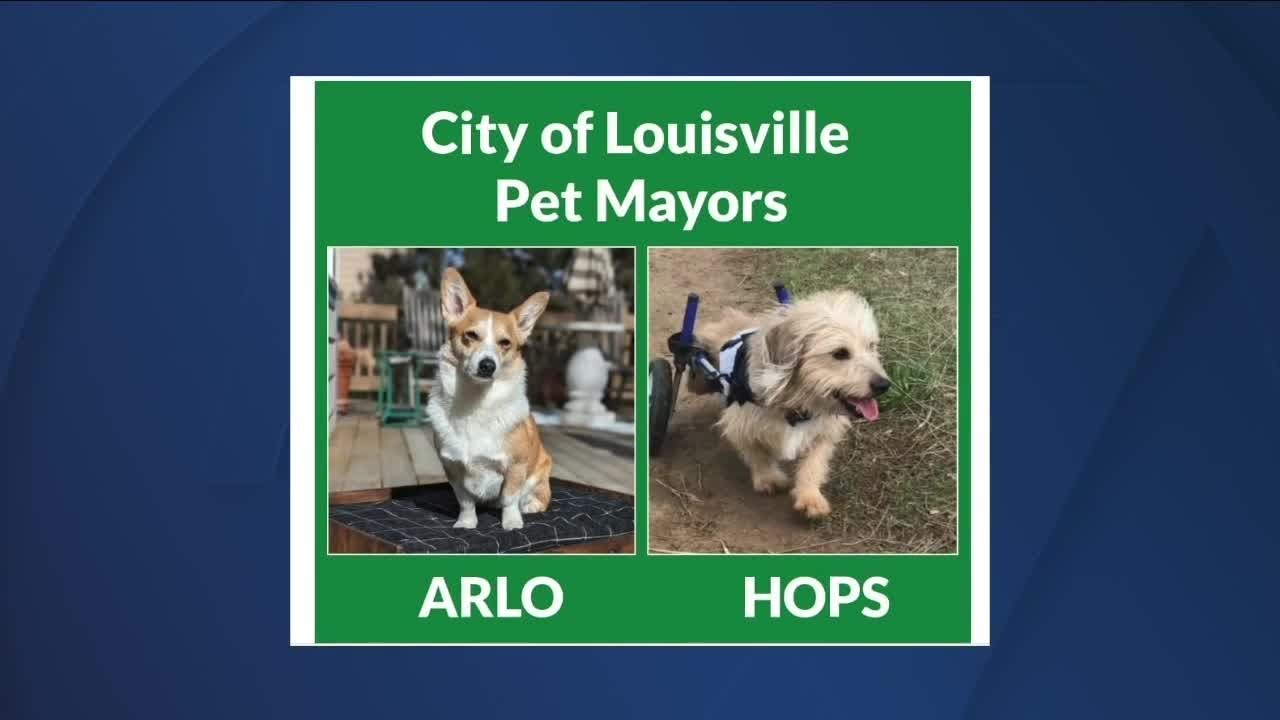 Louisville picks pet co-mayors
