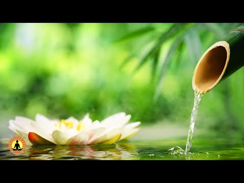 ? Relaxing Music 24/7, Stress Relief Music, Sleep Music, Meditation Music, Study, Calming Music