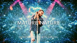 Kid Cudi - Mature Nature [285 Hz Energy, Safety, Survival]