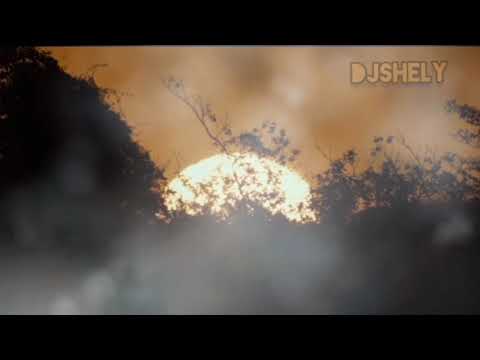 Dj shely 3 steps \u0026 Amapiano soulful mix 2025 episode 3