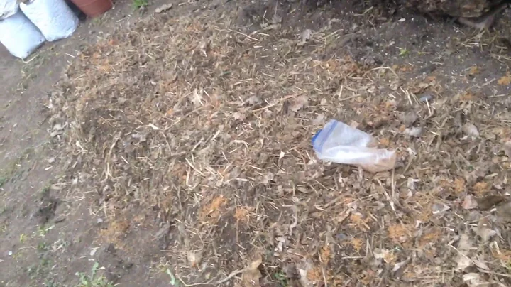 The tearing down and setting up of German raised bed garden using indigenous micrograms IMO3.  3