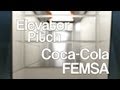 Coca-Cola FEMSA: Metas, innovación y sustentabilidad.