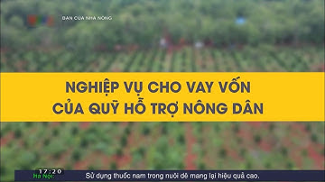 Nghiệp vụ cho vay vốn của quỹ hỗ trợ nông dân