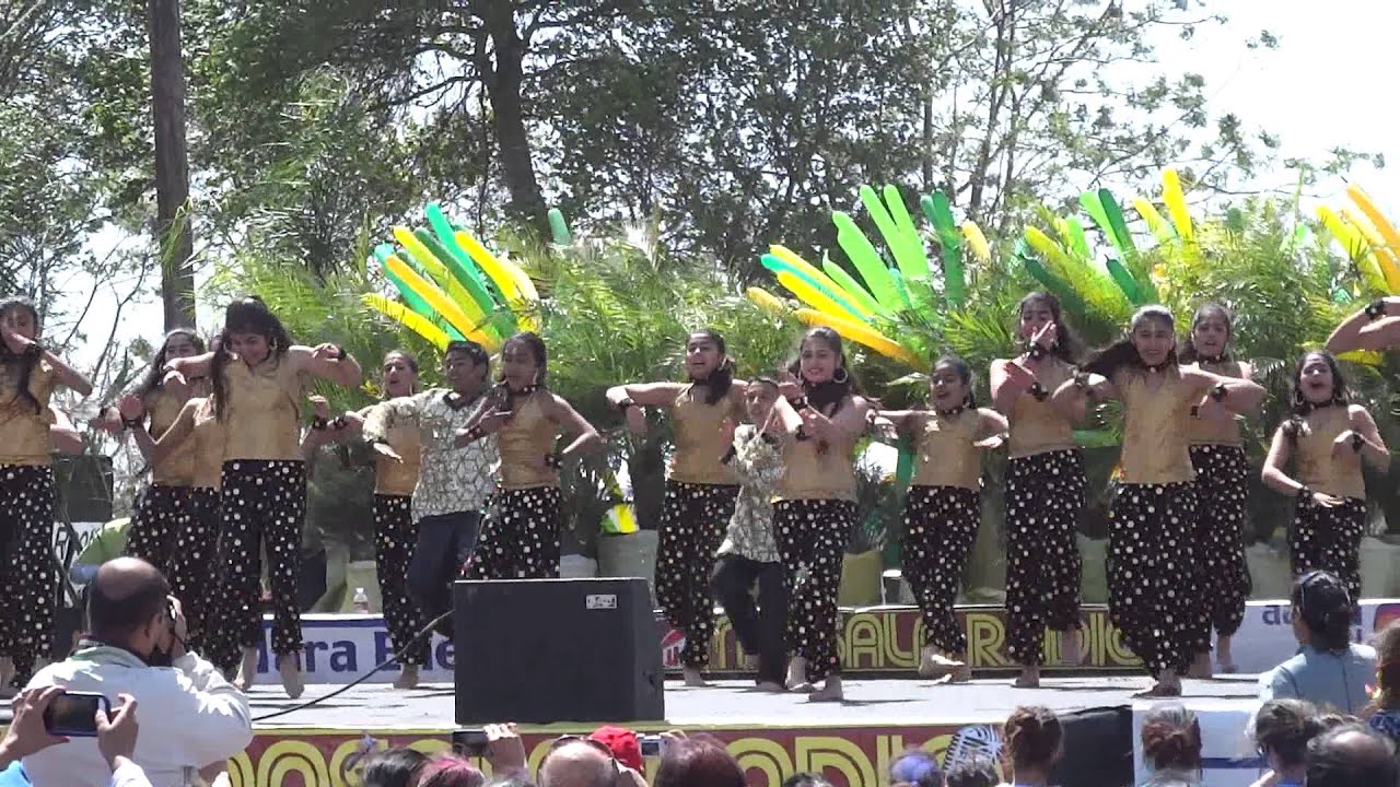 houston holi events