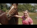 Swimming with Horses! | This Esme