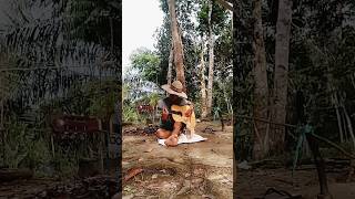 petani nyanyi buih jadi permadani exist - cover lagu Malaysia