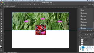 28 Loading, selecting, aligning, and distributing layers