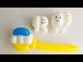 🦷Teeth and toothbrushes 🪥 歯と歯ブラシ 【バルーンアートかねさん】