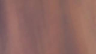 Sena Ölüm Sahnesi̇