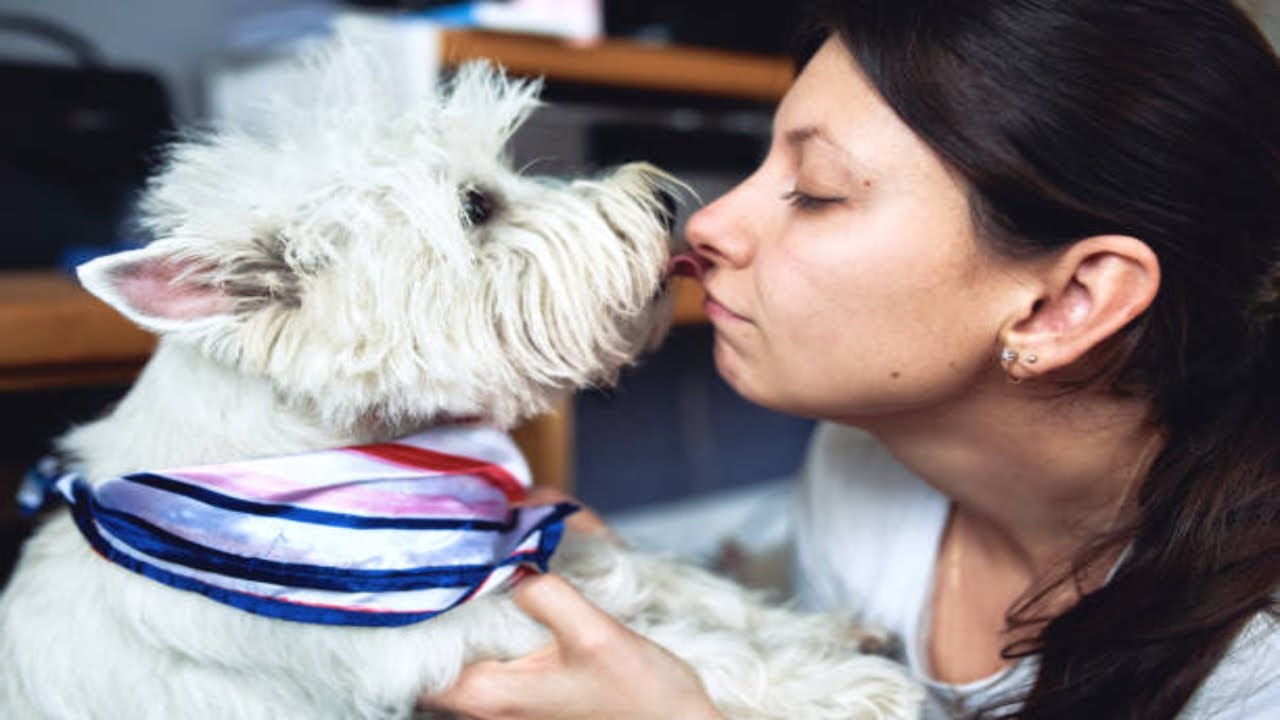 Should You Let Your Dog Lick Your Face?