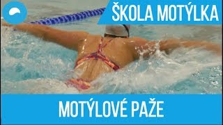 JAK PLAVAT MOTÝLKA - ZÁBĚR PAŽEMI