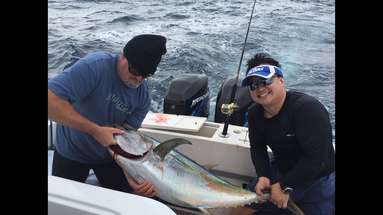 Fat Tuna Close to Shore June 27th, 2015 YouTube