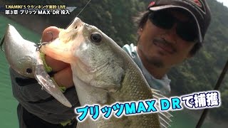 並木敏成クランク実釣LIVE(3/6)-第３章ブリッツMAX DR投入