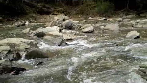 Sope Creek PaintOut
