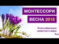 Классификация животного мира