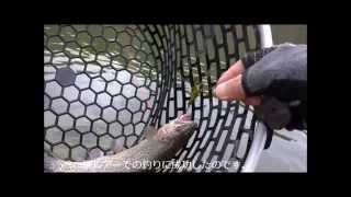 蝉ルアーでの釣り～ スミス「美蝉」