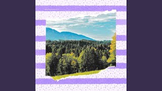Superlative Backdrops for Our Memories