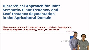 Hierarchical Approach for Joint Semantic, Plant & Leaf Instance Segmentation in the Agricult. Domain