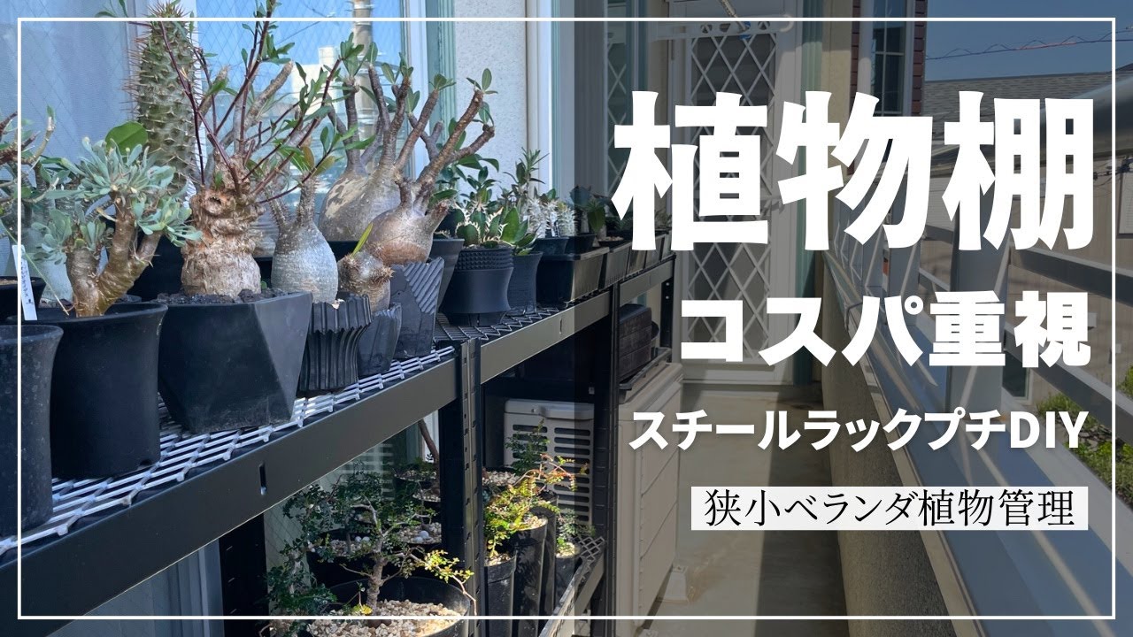 多肉植物棚　TB-NDB1 多肉棚 5段 木製プランター - メルカリ