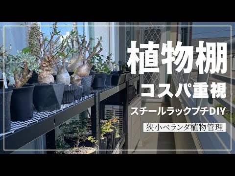 多肉植物棚 GAI-H70E 不可解