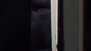 Drake Adele Torylanez Reaction Video