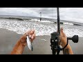 Surf Fishing With LIVE MULLET (Cook & Catch)