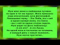 Смешные анекдоты до слез😉 Сборник новых анекдотов для отличного настроения😀 Юмор Позитив