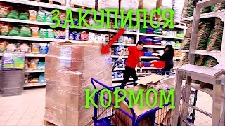 Челлендж! Брошенный приют. Кормим собак. Челлендж! Брошенный приют. Кормим собак.