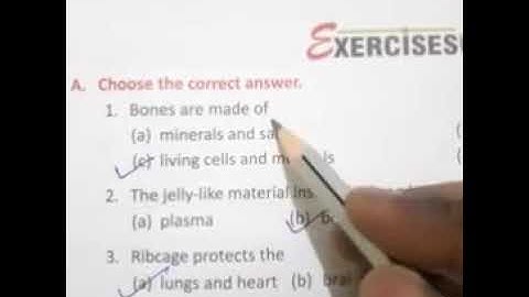 Class 5 science ch-3 exercise-A,B short question answer (discussion)