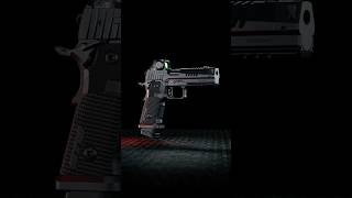 SIG SAUER P211-GTO • Mach3D Compensator